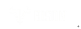 BISON Logo Completo